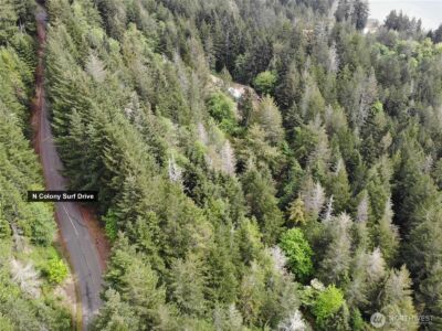 6 X N Colony Surf Drive , Lilliwaup, WA 98555 - Photo 23