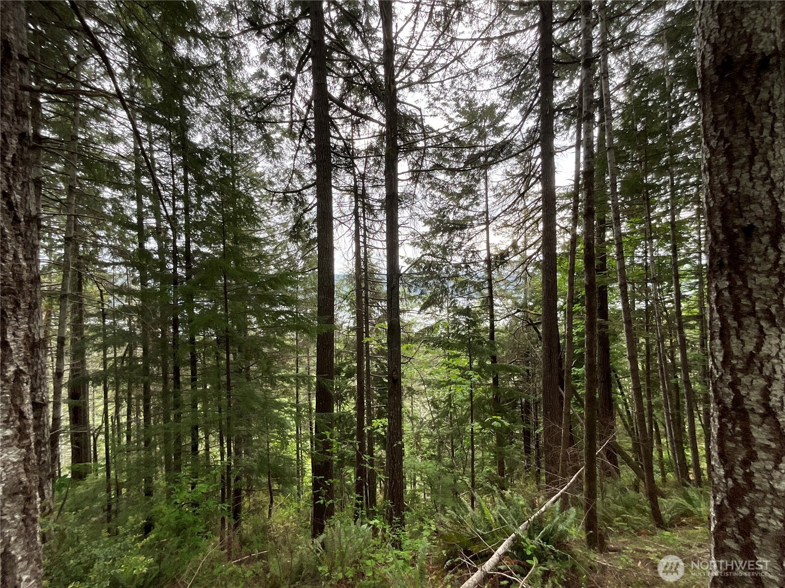6 X N Colony Surf Drive , Lilliwaup, WA 98555