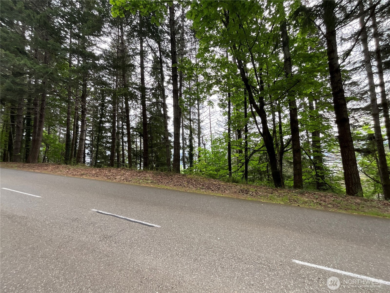 6 X N Colony Surf Drive , Lilliwaup, WA 98555