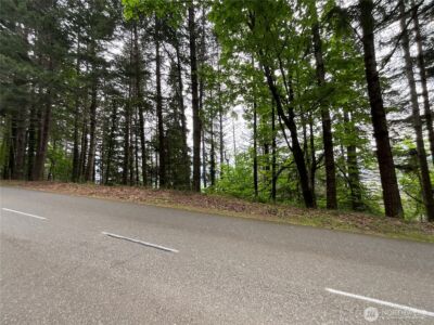 6 X N Colony Surf Drive , Lilliwaup, WA 98555 - Photo 5