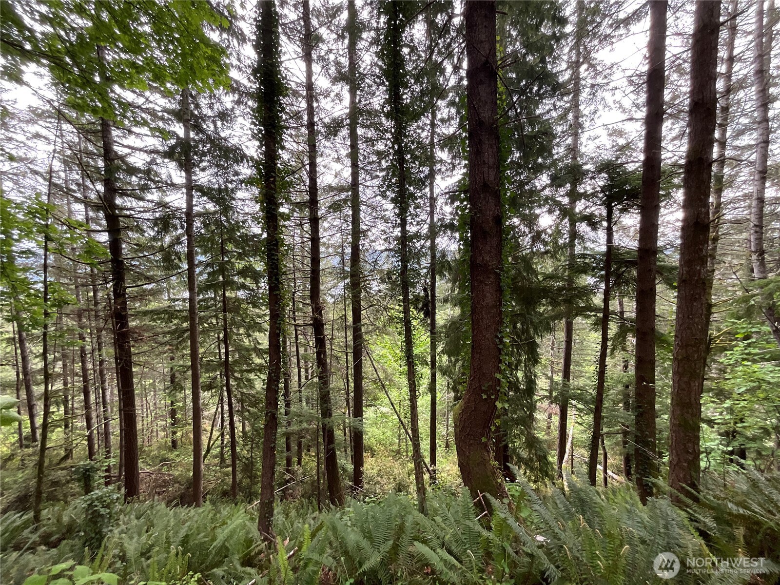 6 X N Colony Surf Drive , Lilliwaup, WA 98555