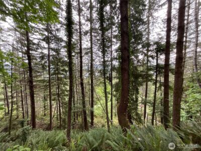 6 X N Colony Surf Drive , Lilliwaup, WA 98555 - Photo 6
