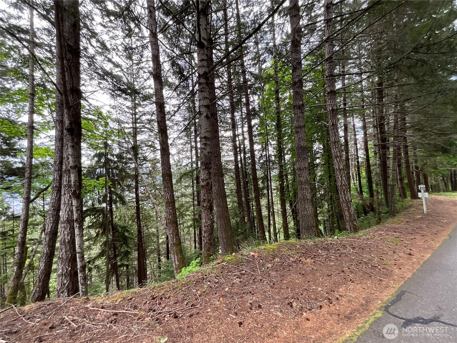 6 X N Colony Surf Drive , Lilliwaup, WA 98555