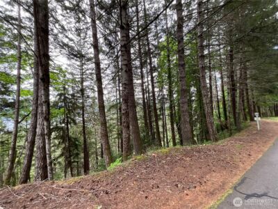 6 X N Colony Surf Drive , Lilliwaup, WA 98555 - Photo 7