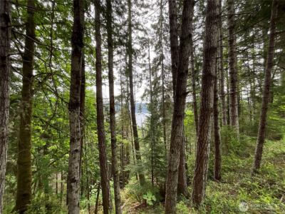 6 X N Colony Surf Drive , Lilliwaup, WA 98555 - Photo 8