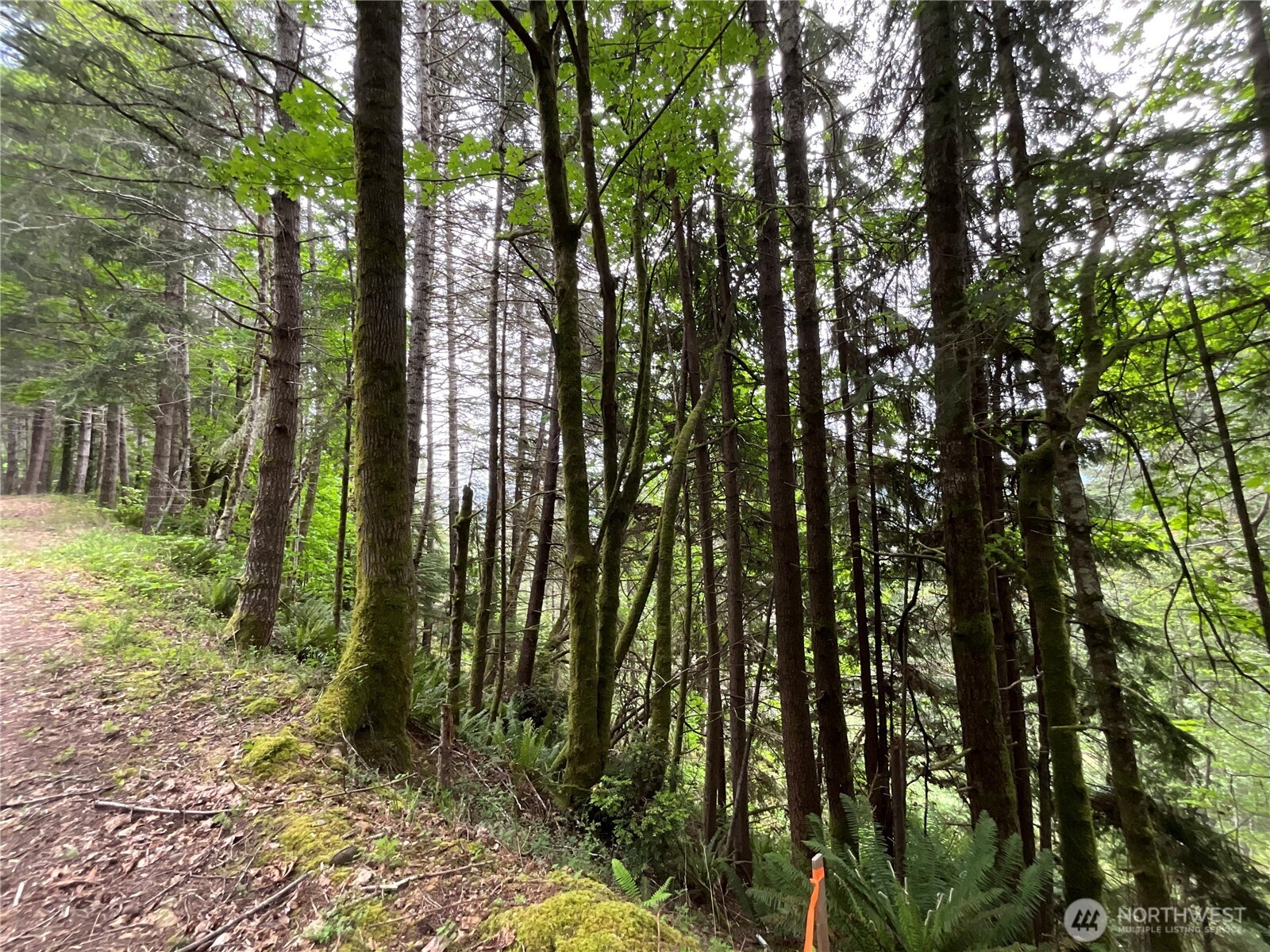 6 X N Colony Surf Drive , Lilliwaup, WA 98555