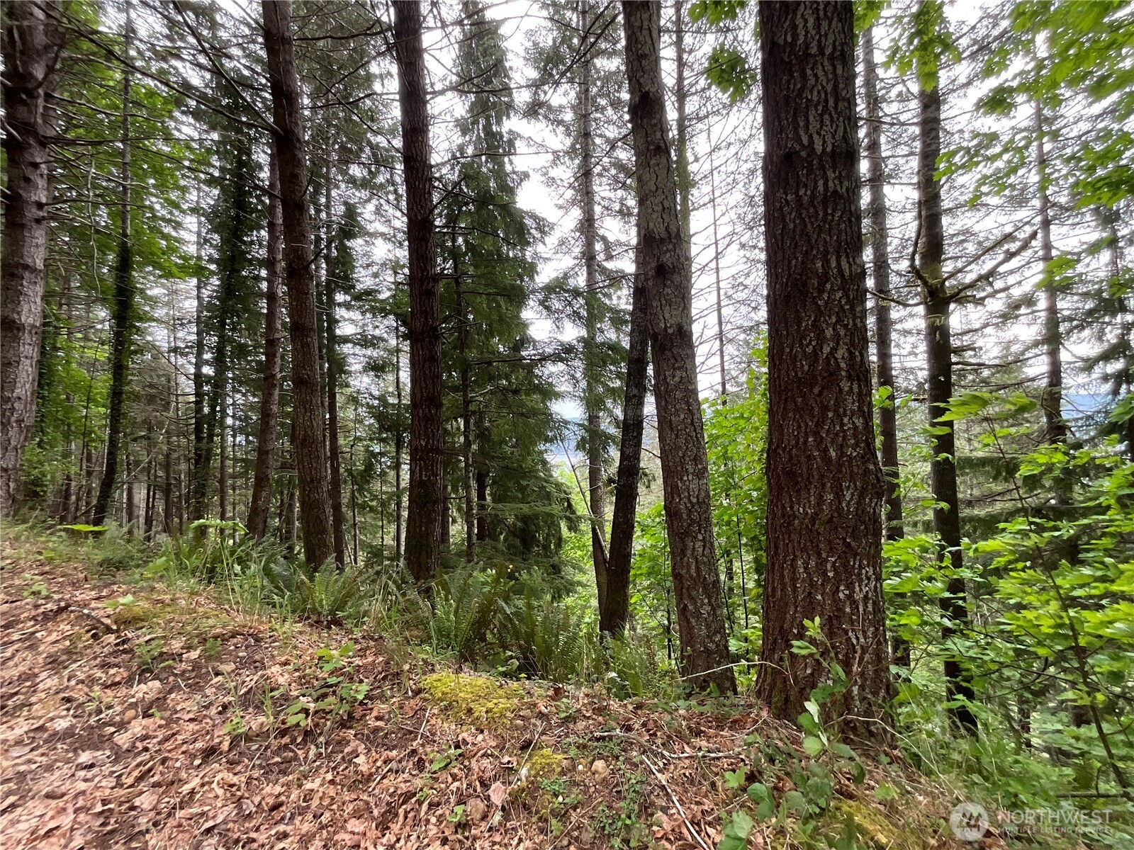 6 X N Colony Surf Drive , Lilliwaup, WA 98555