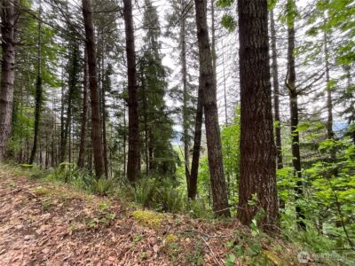 6 X N Colony Surf Drive , Lilliwaup, WA 98555 - Photo 10