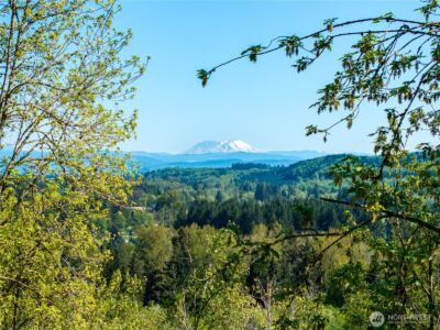 0 August Road , Onalaska, WA 98570 - Photo 11