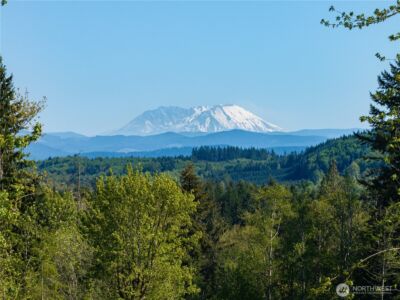 0 August Road , Onalaska, WA 98570 - Photo 12