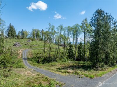0 August Road , Onalaska, WA 98570 - Photo 2