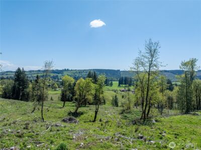 0 August Road , Onalaska, WA 98570 - Photo 3