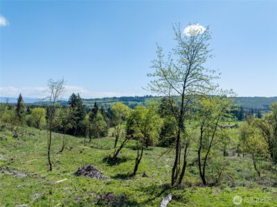 0 August Road , Onalaska, WA 98570 - Photo 4
