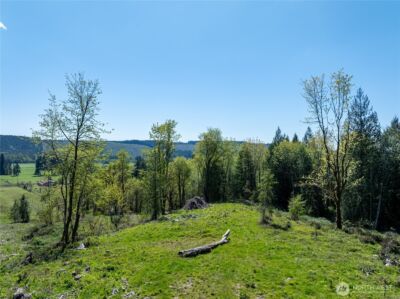 0 August Road , Onalaska, WA 98570 - Photo 5