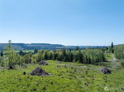 0 August Road , Onalaska, WA 98570 - Photo 6