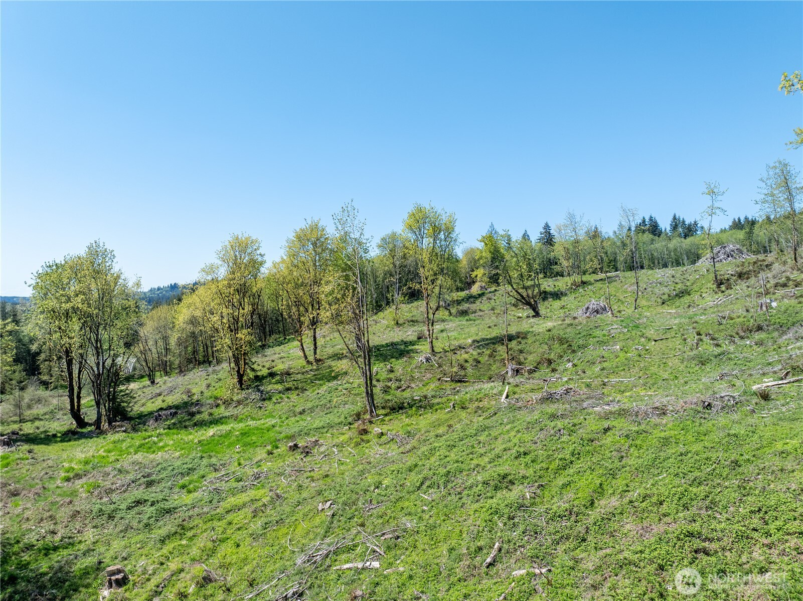 0 August Road , Onalaska, WA 98570