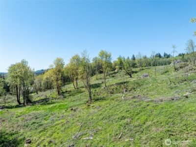 0 August Road , Onalaska, WA 98570 - Photo 7