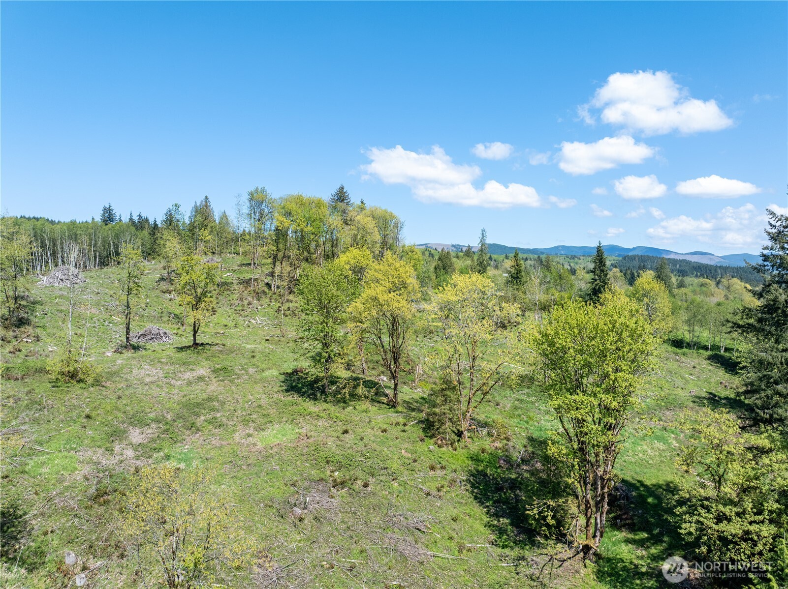 0 August Road , Onalaska, WA 98570