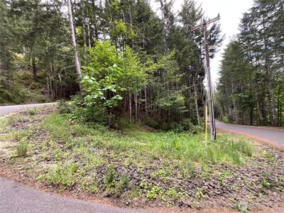 1 N Colony Surf Drive , Lilliwaup, WA 98555 - Photo 1