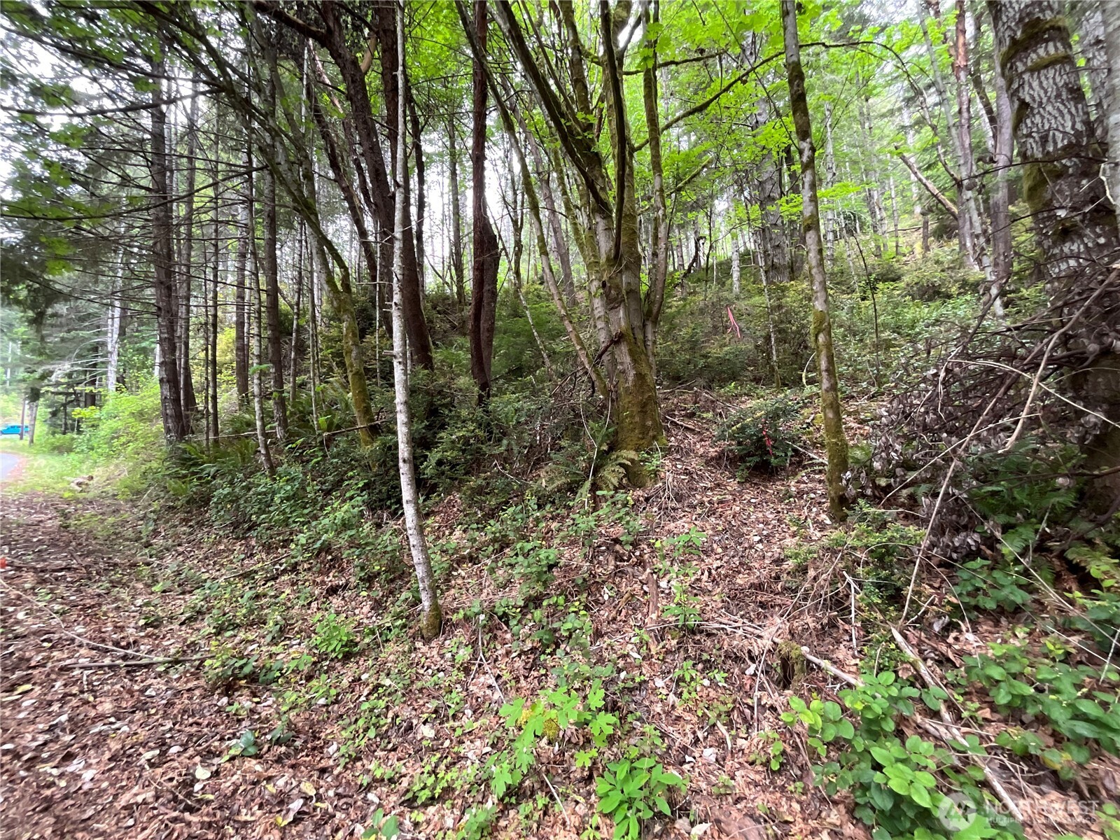 1 N Colony Surf Drive , Lilliwaup, WA 98555