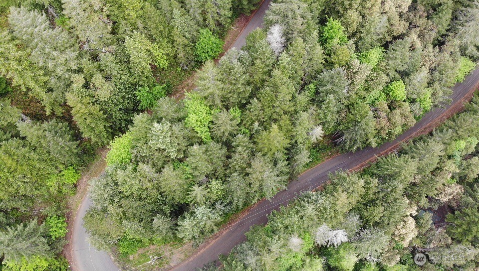 1 N Colony Surf Drive , Lilliwaup, WA 98555