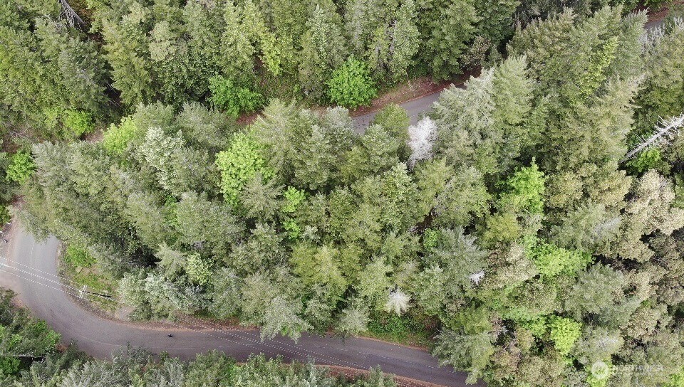 1 N Colony Surf Drive , Lilliwaup, WA 98555