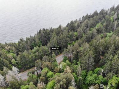 1 N Colony Surf Drive , Lilliwaup, WA 98555 - Photo 17