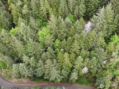 1 N Colony Surf Drive , Lilliwaup, WA 98555 - Photo 20