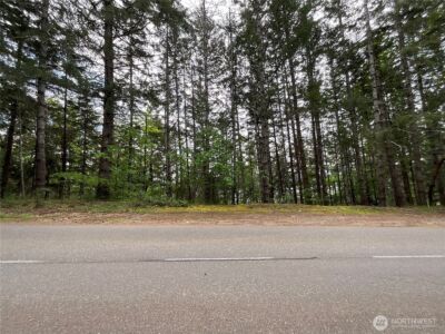 1 N Colony Surf Drive , Lilliwaup, WA 98555 - Photo 2