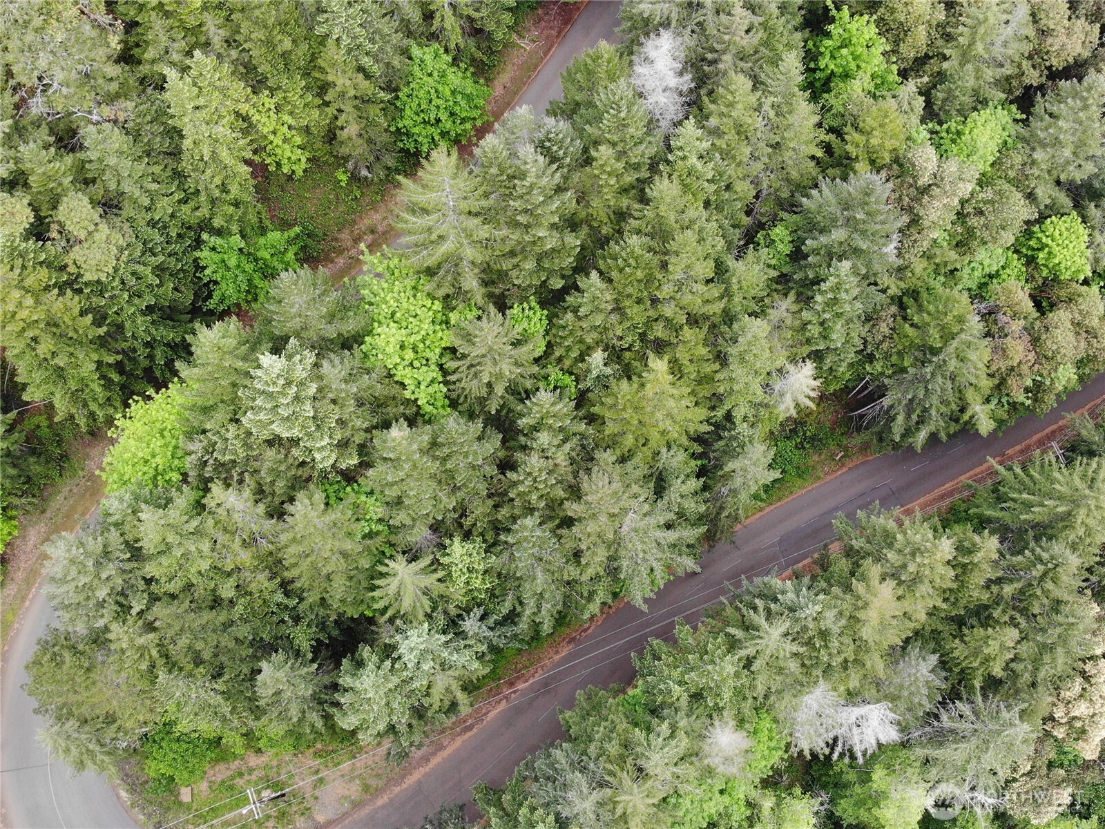 1 N Colony Surf Drive , Lilliwaup, WA 98555