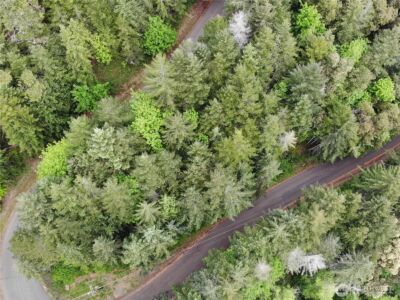 1 N Colony Surf Drive , Lilliwaup, WA 98555 - Photo 21