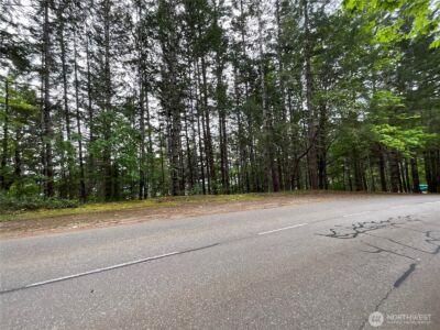 1 N Colony Surf Drive , Lilliwaup, WA 98555 - Photo 3