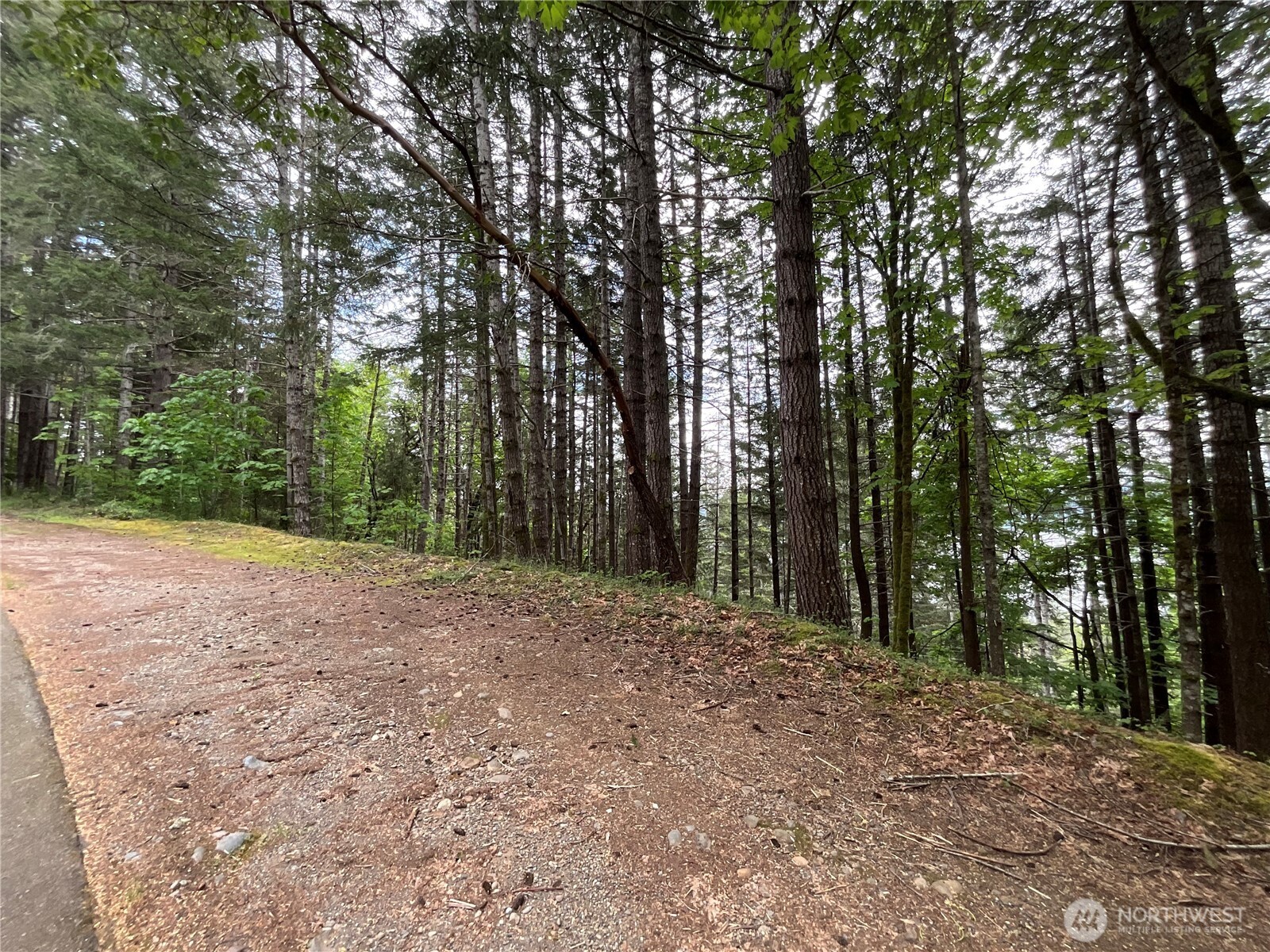 1 N Colony Surf Drive , Lilliwaup, WA 98555