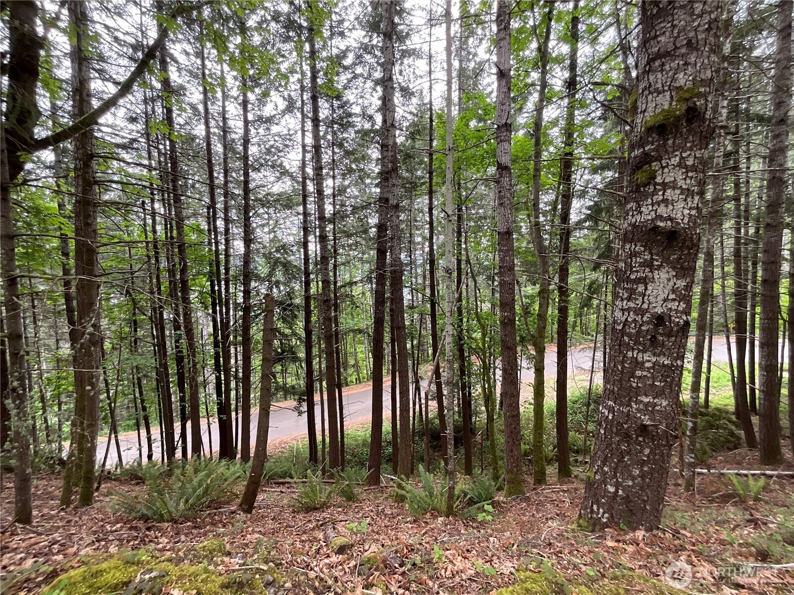 1 N Colony Surf Drive , Lilliwaup, WA 98555
