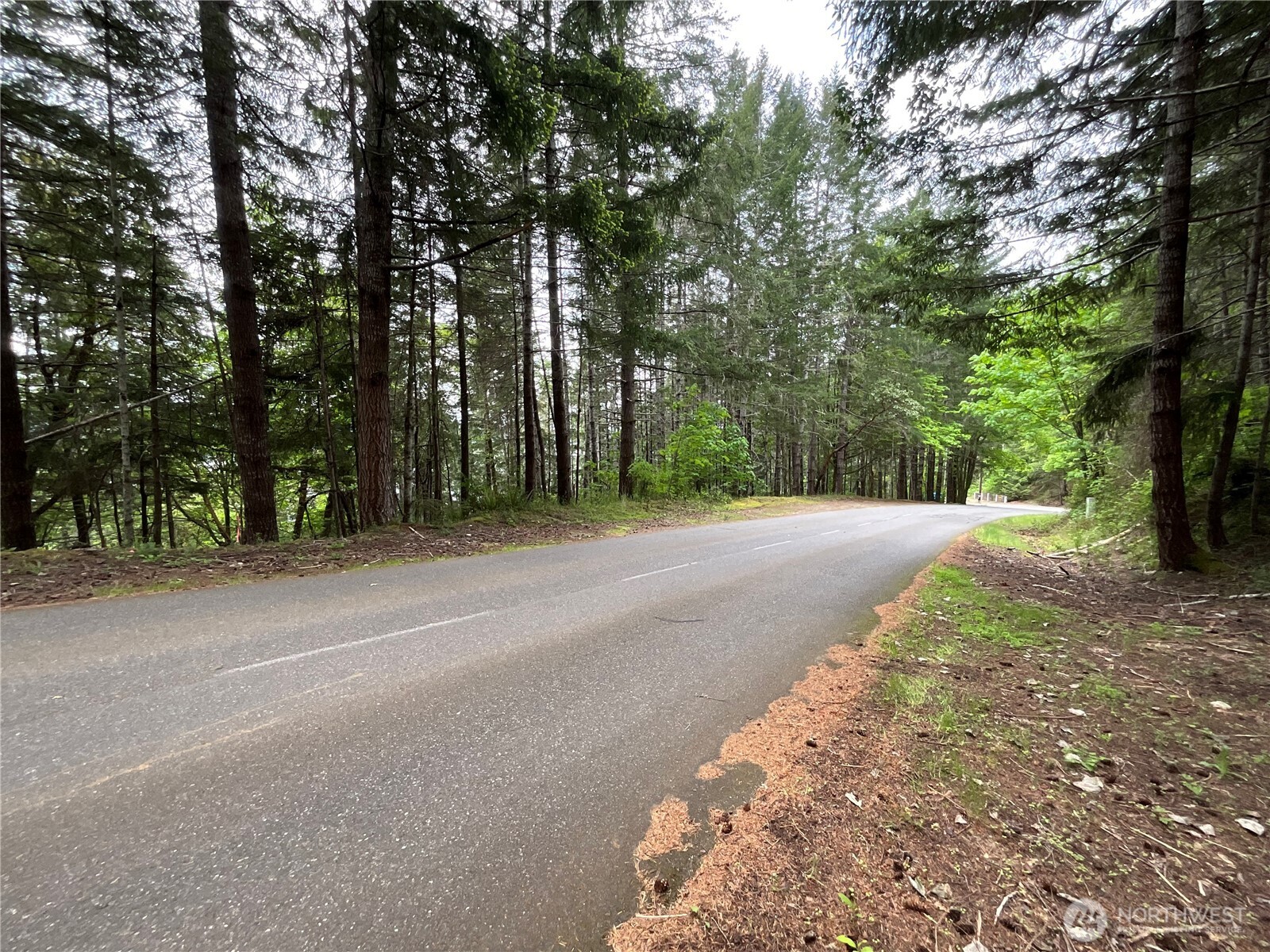 1 N Colony Surf Drive , Lilliwaup, WA 98555