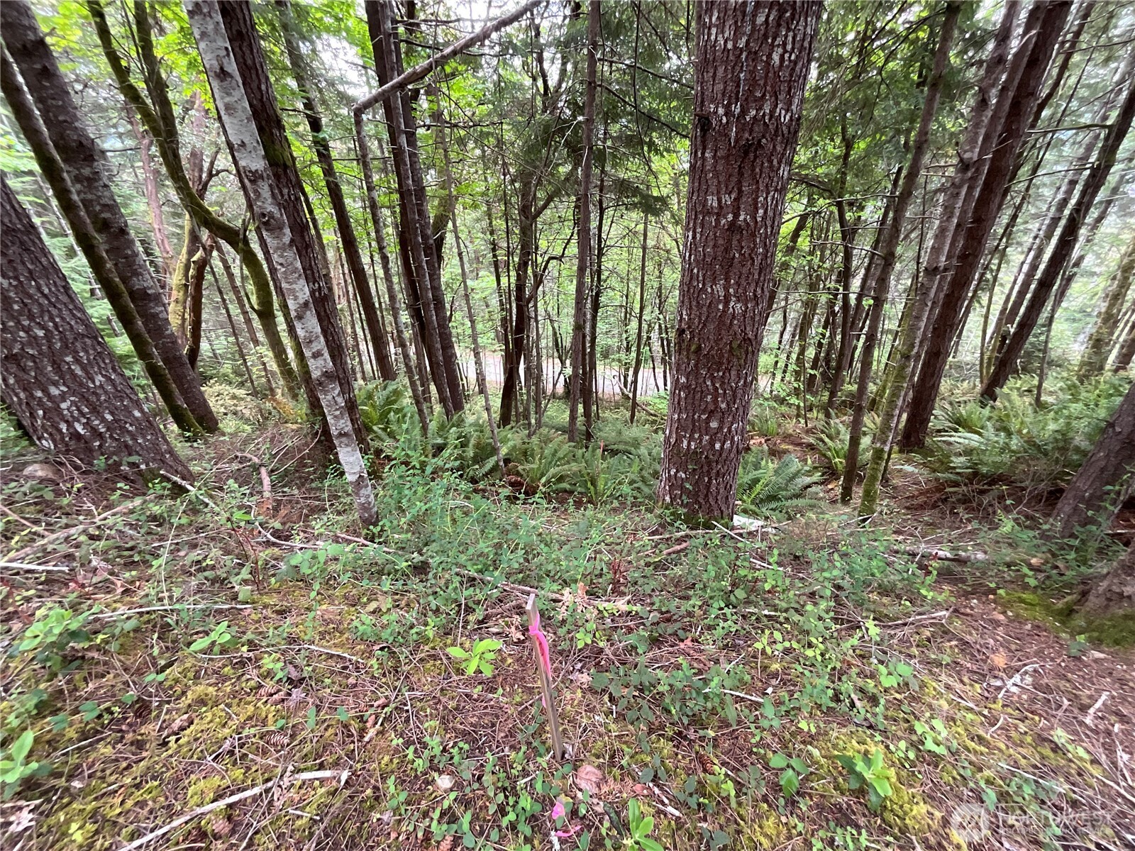 1 N Colony Surf Drive , Lilliwaup, WA 98555