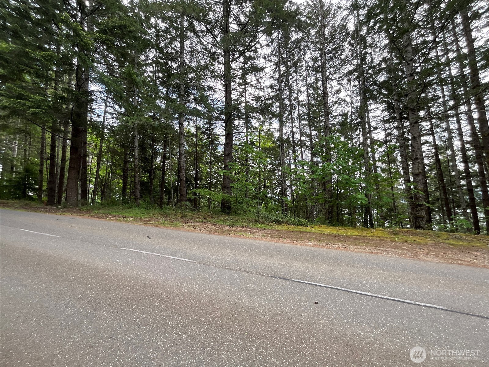 1 N Colony Surf Drive , Lilliwaup, WA 98555