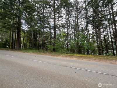 1 N Colony Surf Drive , Lilliwaup, WA 98555 - Photo 9