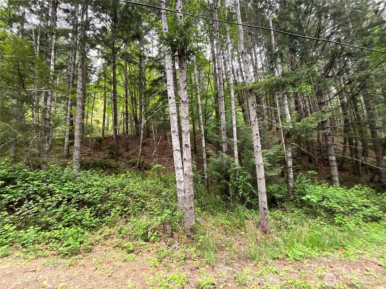 1 N Colony Surf Drive , Lilliwaup, WA 98555