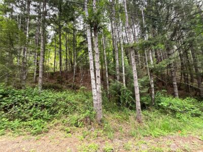 1 N Colony Surf Drive , Lilliwaup, WA 98555 - Photo 10