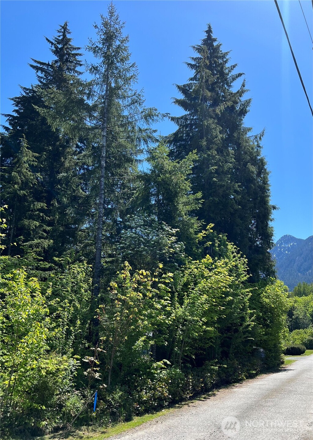6 Stillaguamish Ln , Darrington, WA 98241