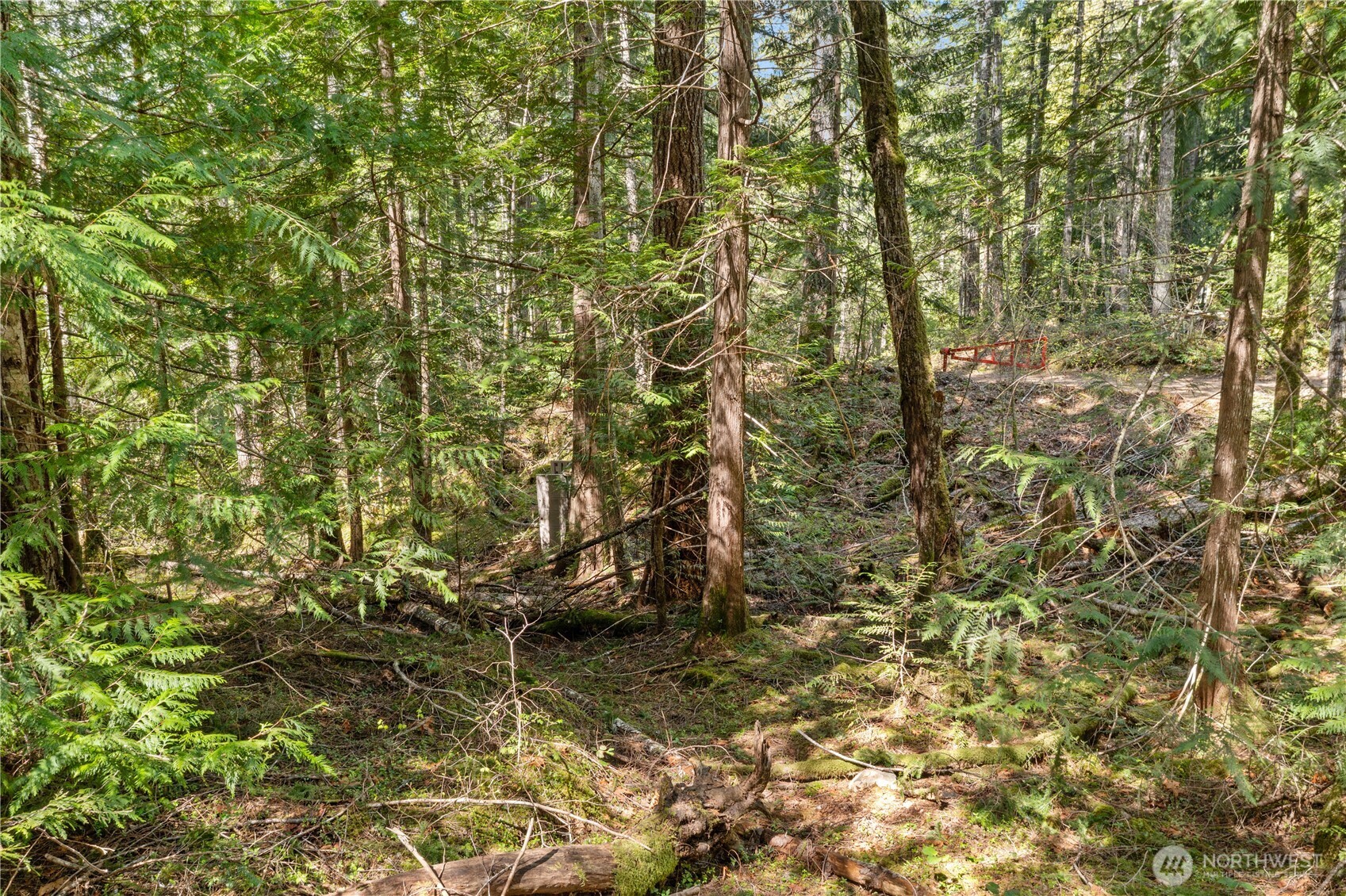 0 N White Tail Trail , Hoodsport, WA 98548