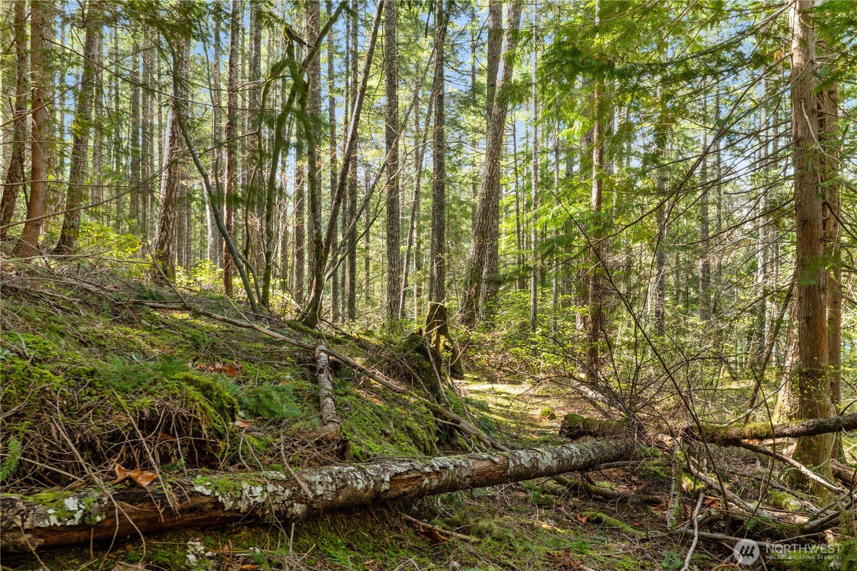 0 N White Tail Trail , Hoodsport, WA 98548