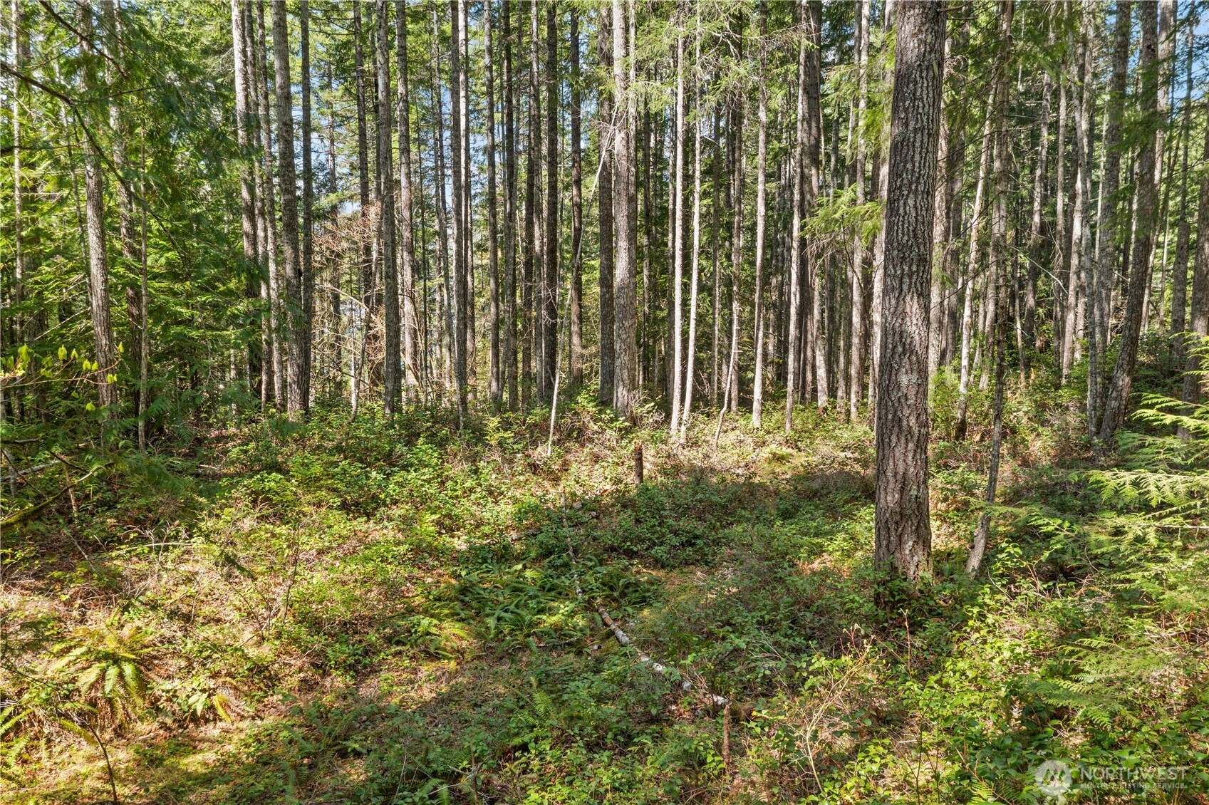 0 N White Tail Trail , Hoodsport, WA 98548