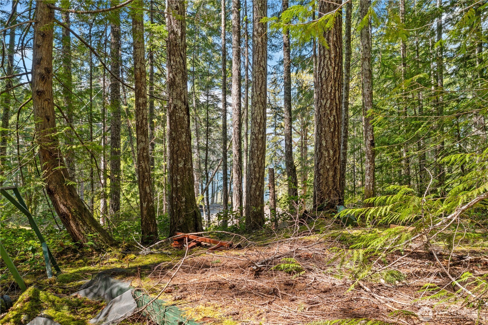 0 N White Tail Trail , Hoodsport, WA 98548
