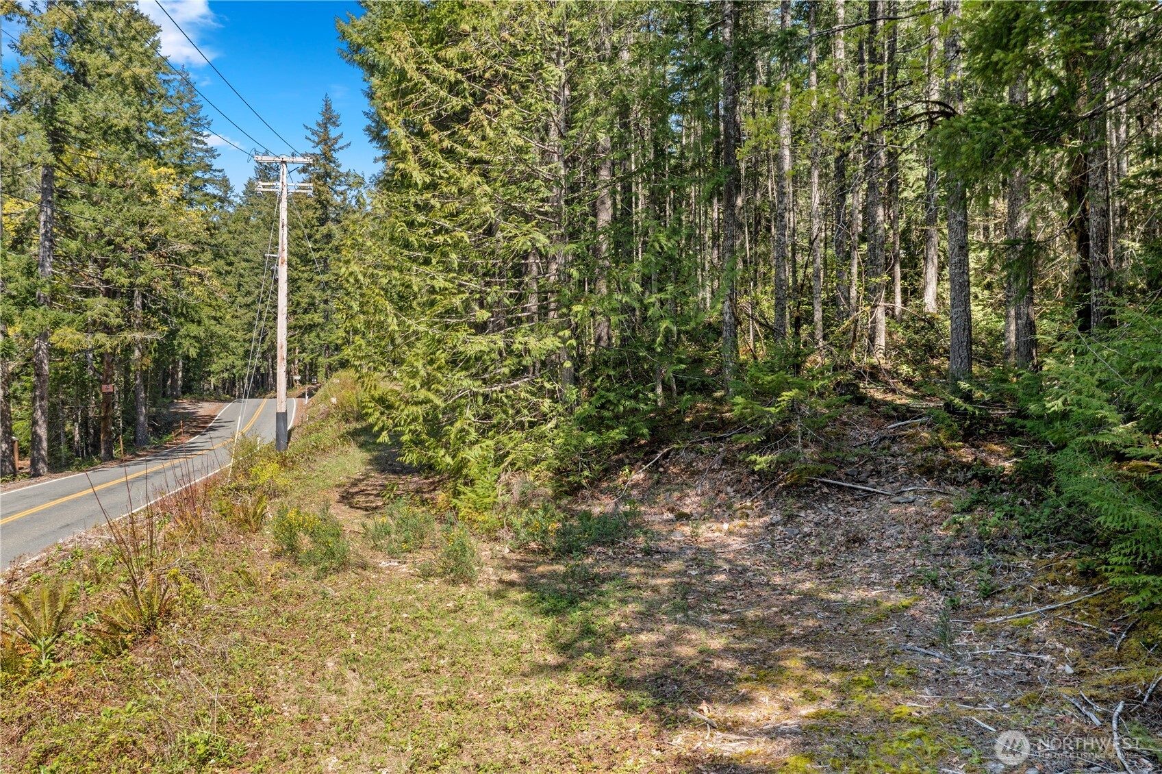 0 N White Tail Trail , Hoodsport, WA 98548