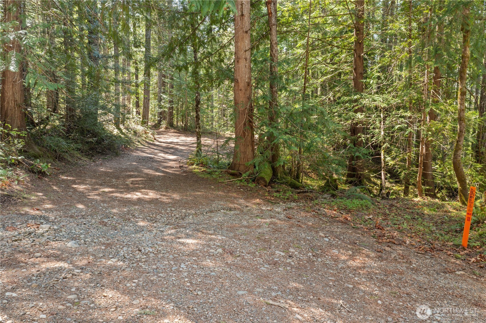 0 N White Tail Trail , Hoodsport, WA 98548