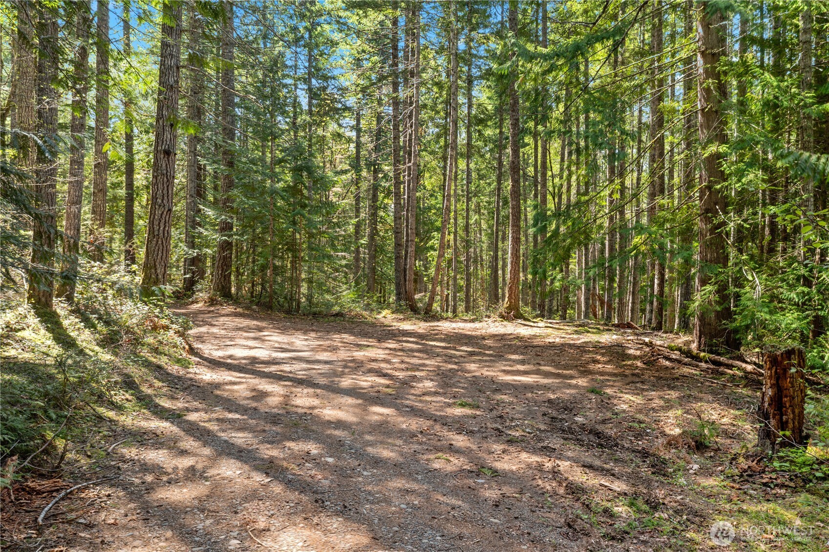 0 N White Tail Trail , Hoodsport, WA 98548
