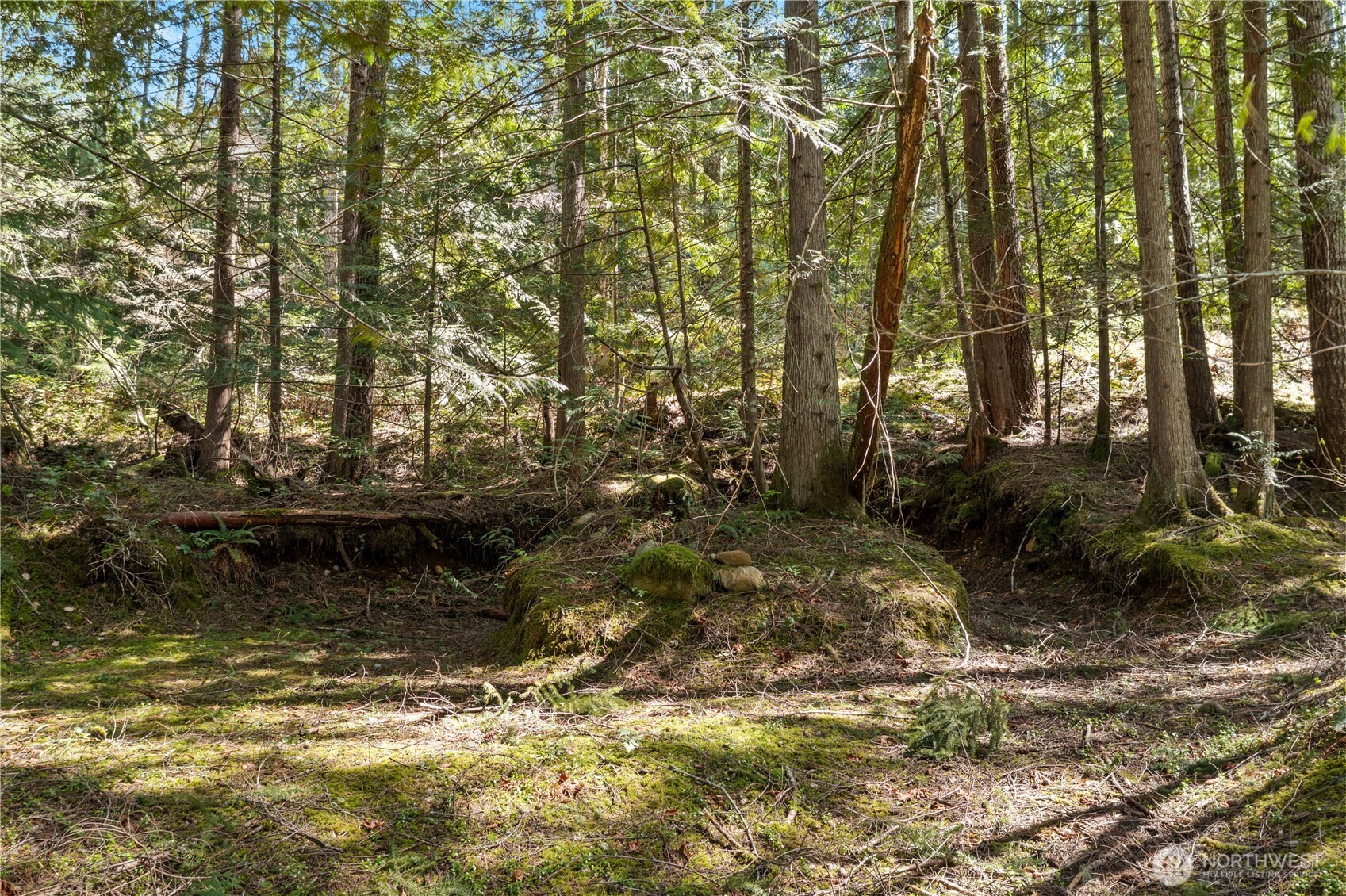 0 N White Tail Trail , Hoodsport, WA 98548