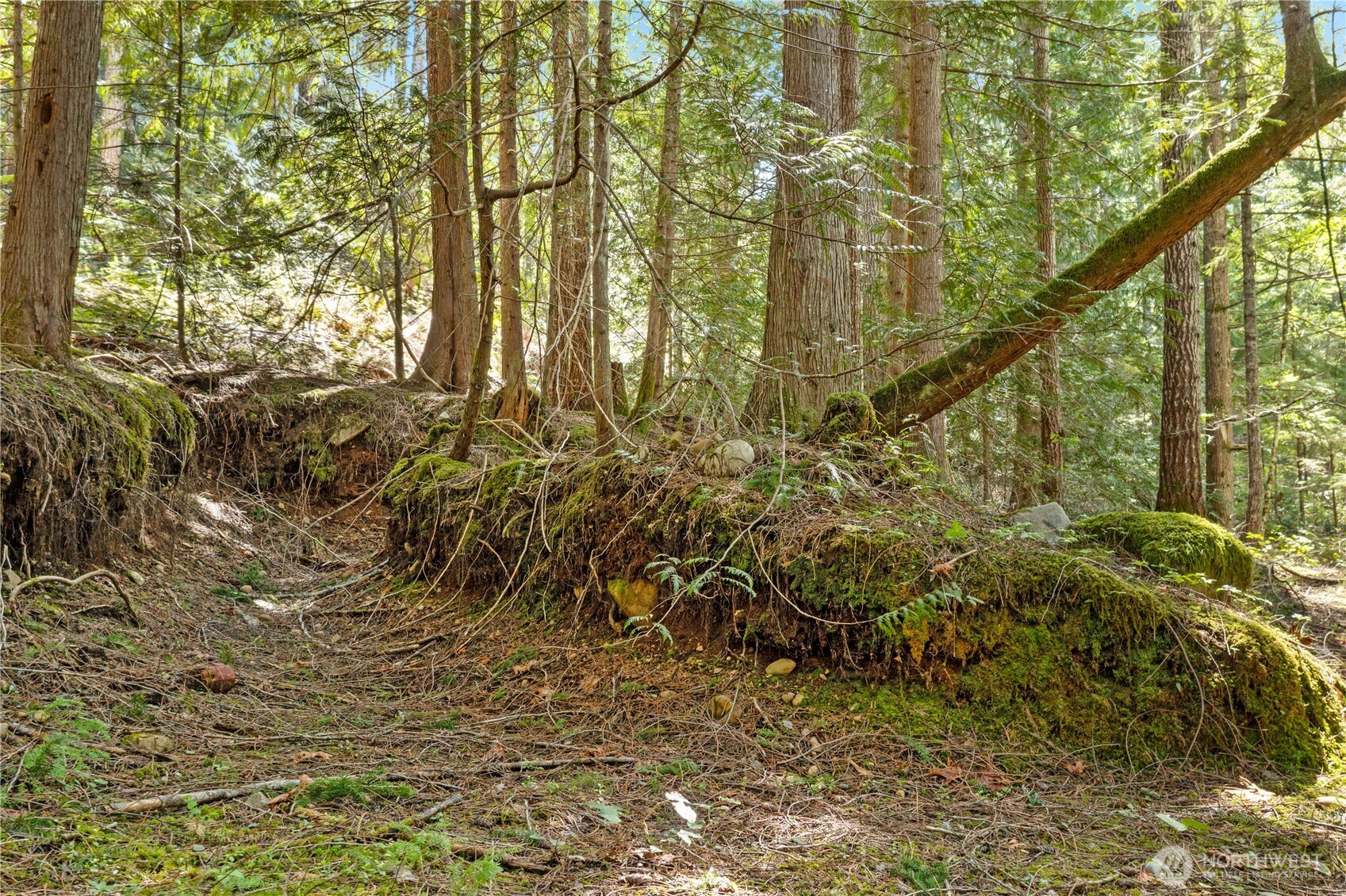 0 N White Tail Trail , Hoodsport, WA 98548
